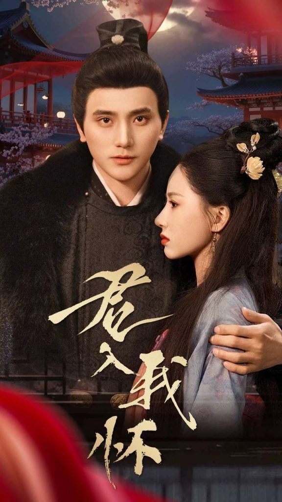 19607-君入我怀（60集）-小哥找项目网创