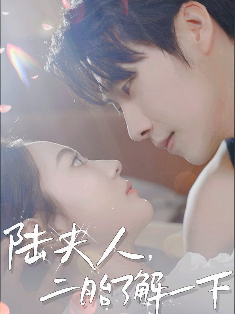 22153-陆夫人，二胎了解一下（83集）张韫韬＆曾和惠子&袁传琪-小哥找项目网创