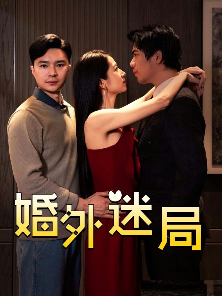 21913-婚外迷局（28集）金丹-小哥找项目网创