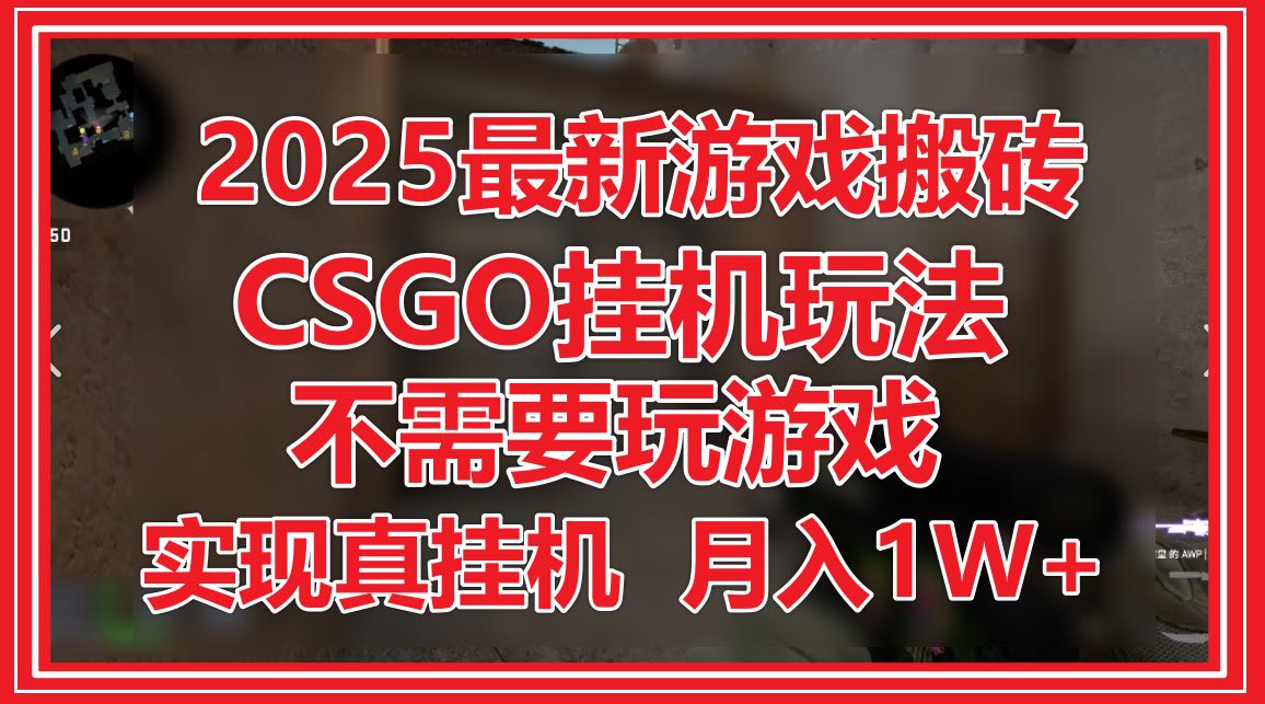 2025最新游戏搬砖，CSGO挂机，不需要玩游戏，实现真挂机，月入1W+-小哥找项目网创