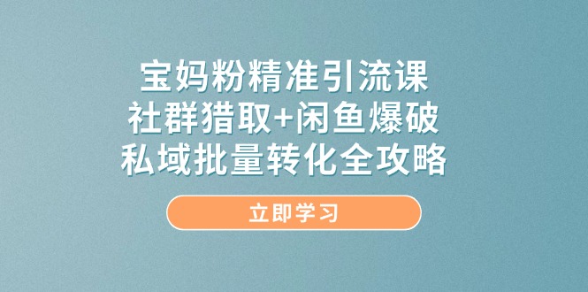 宝妈粉精准引流课，社群猎取+闲鱼爆破，私域批量转化全攻略-小哥找项目网创